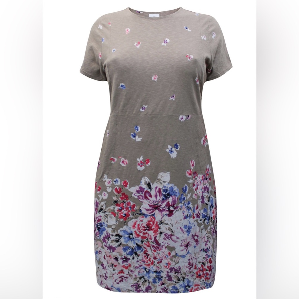 J.Jill LATTE Pure Cotton Border Print Pocket Dress